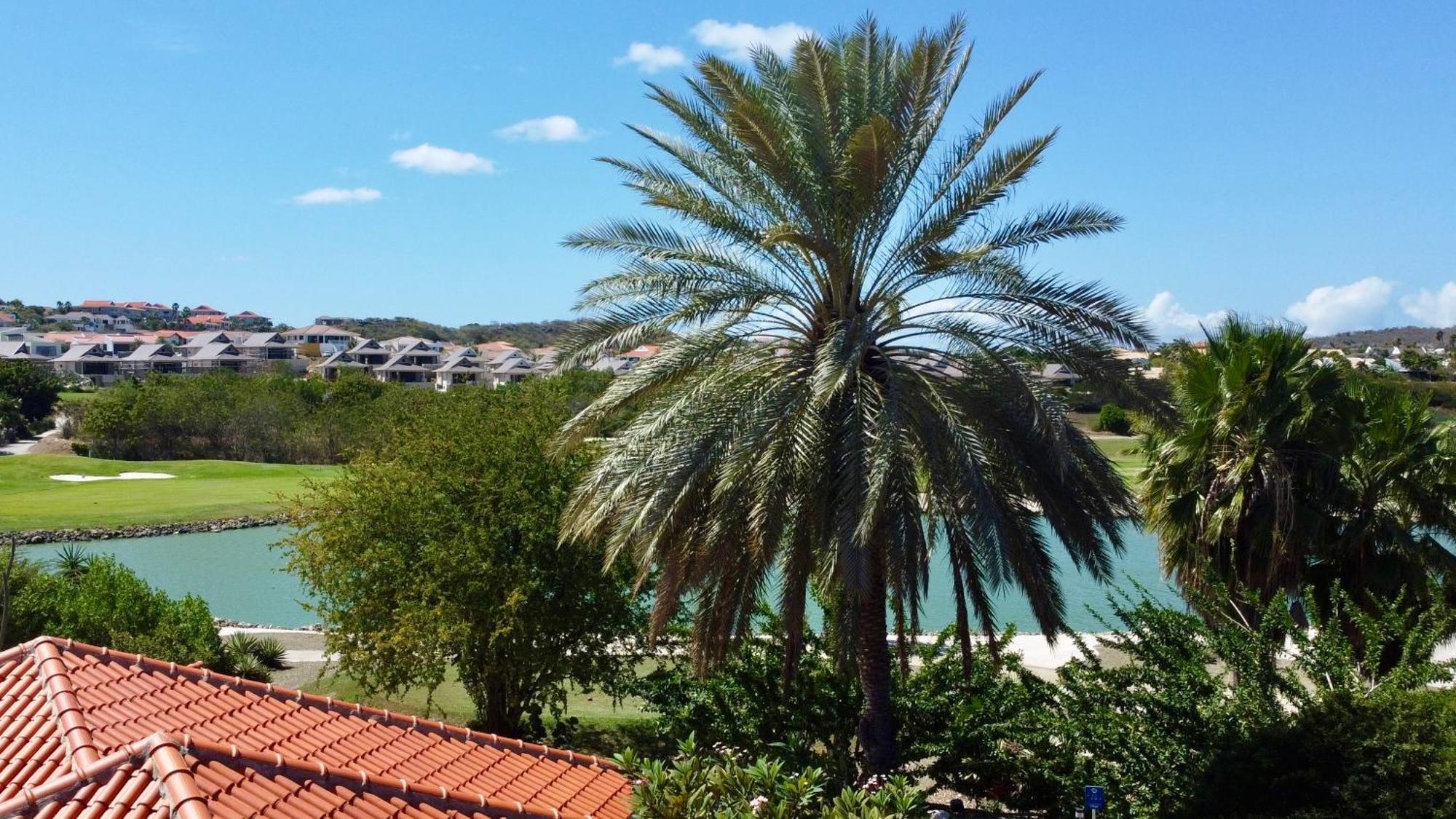 Blue Bay Beach Villas & Apartments Kültér fotó